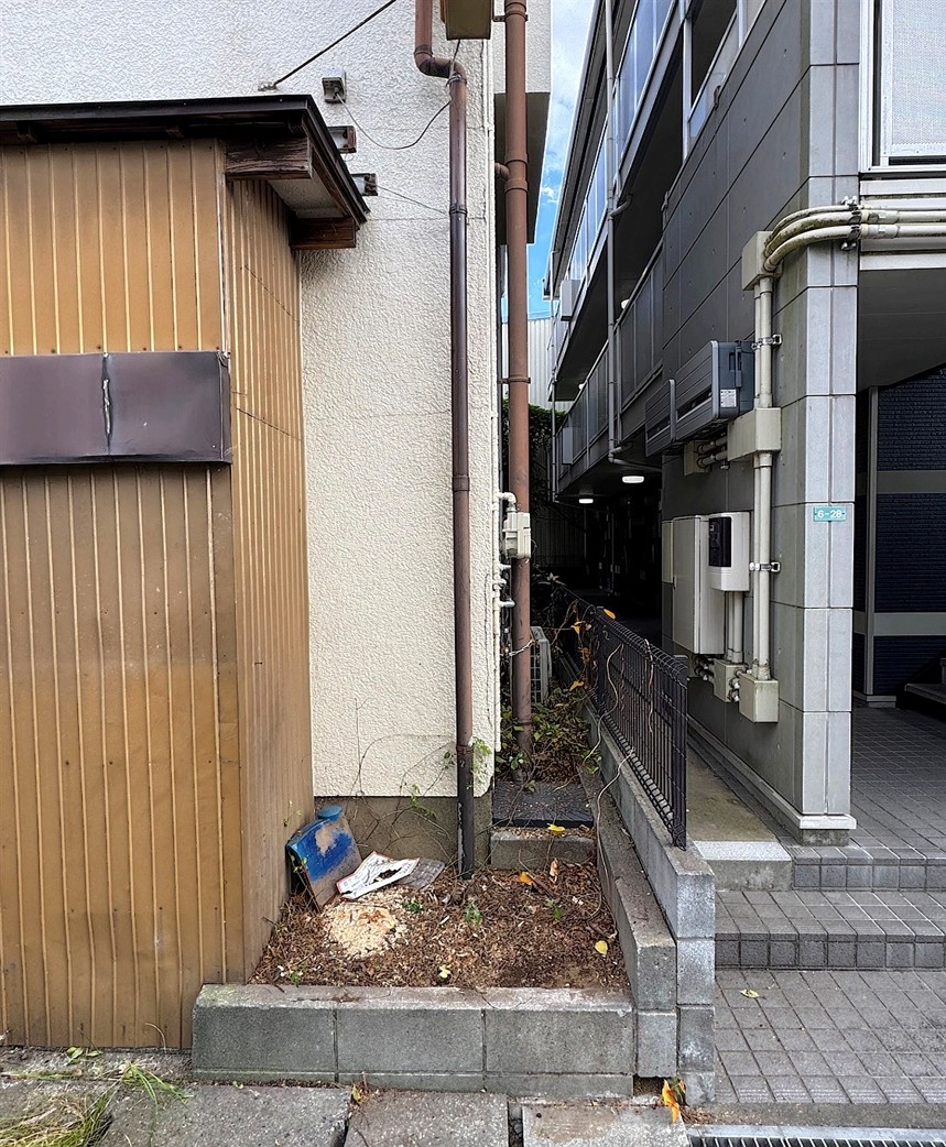 京都市左京区／庭木伐採