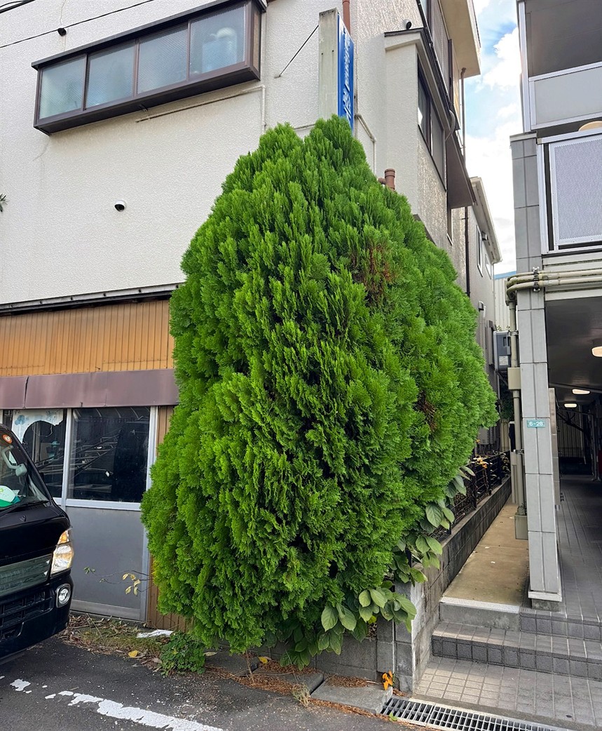 施工前