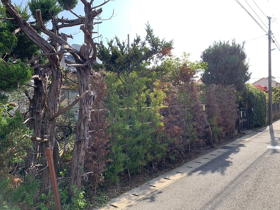 施工前