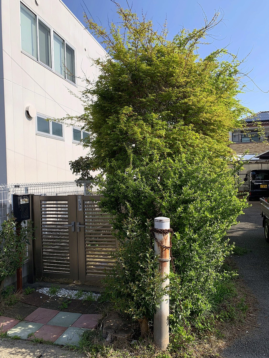 施工前