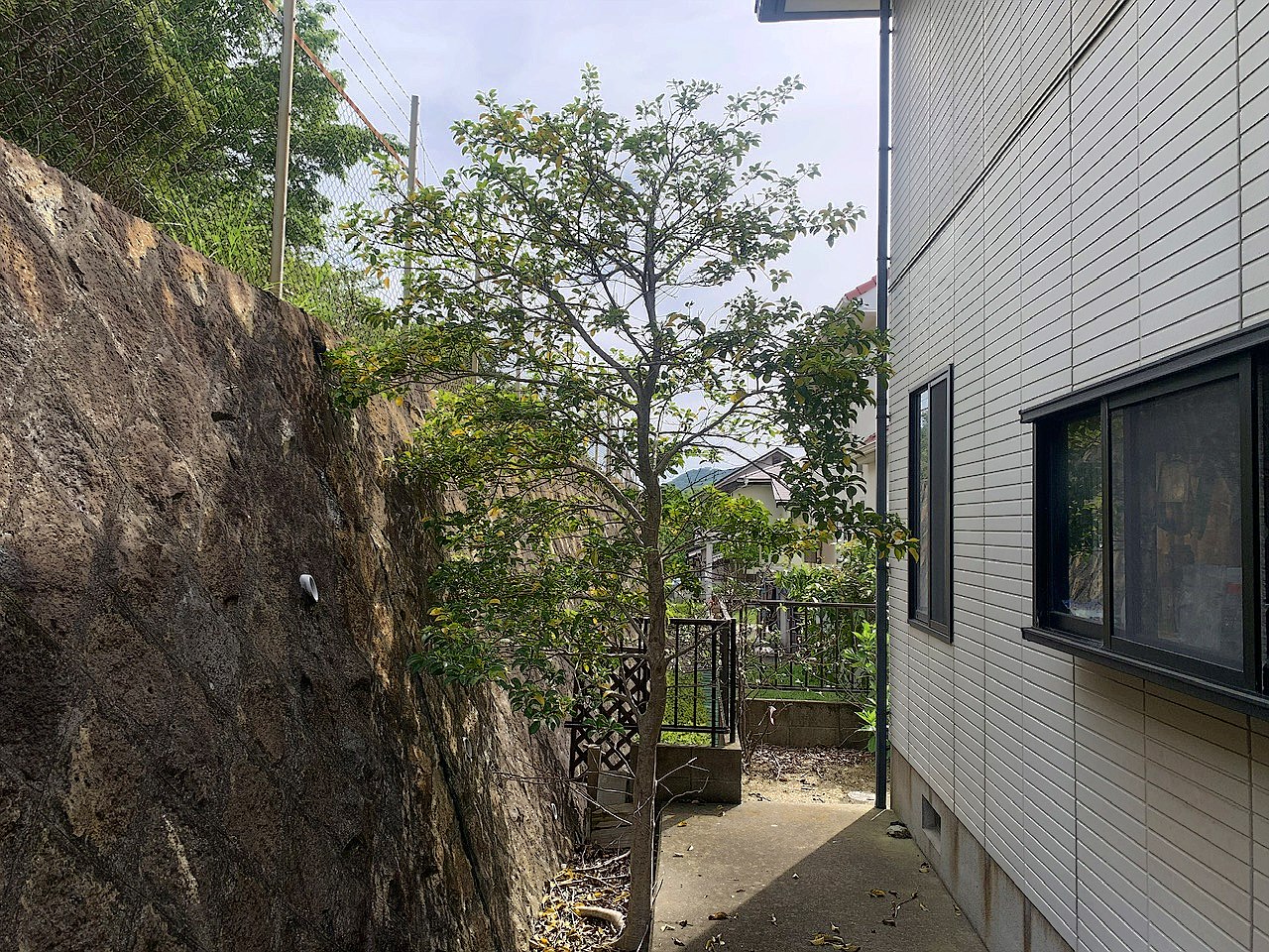 施工前