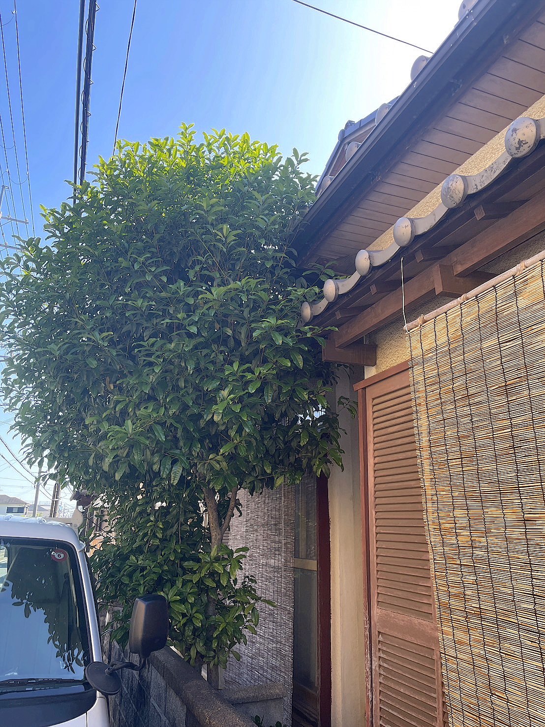施工前