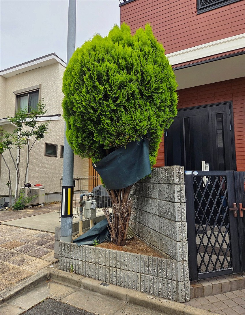 施工前2