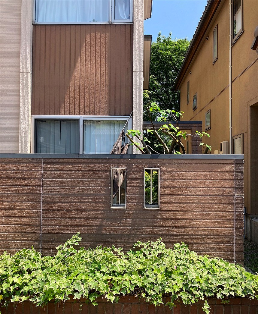 川崎市多摩区／庭木伐採