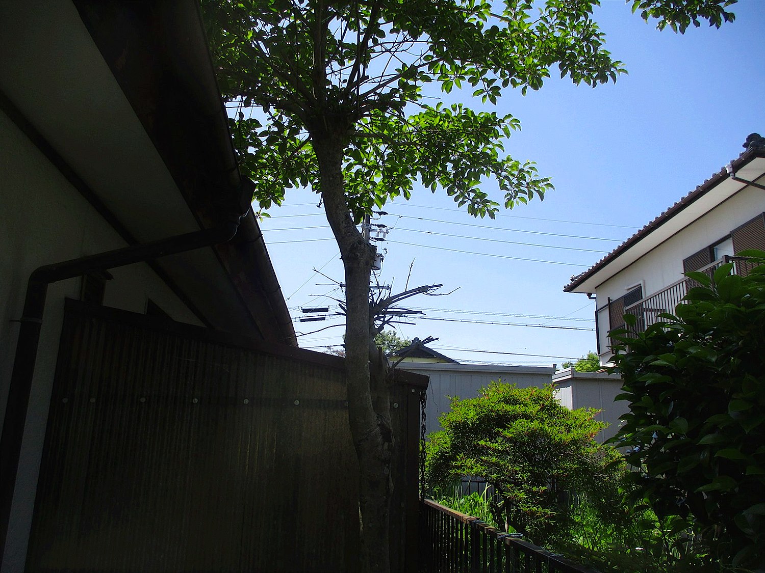 施工前2