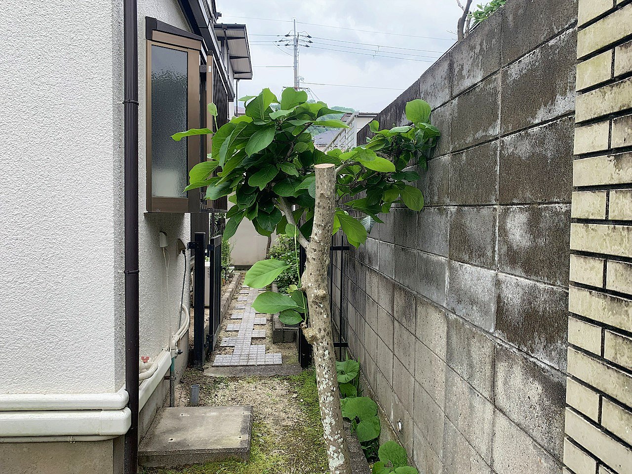 施工後2
