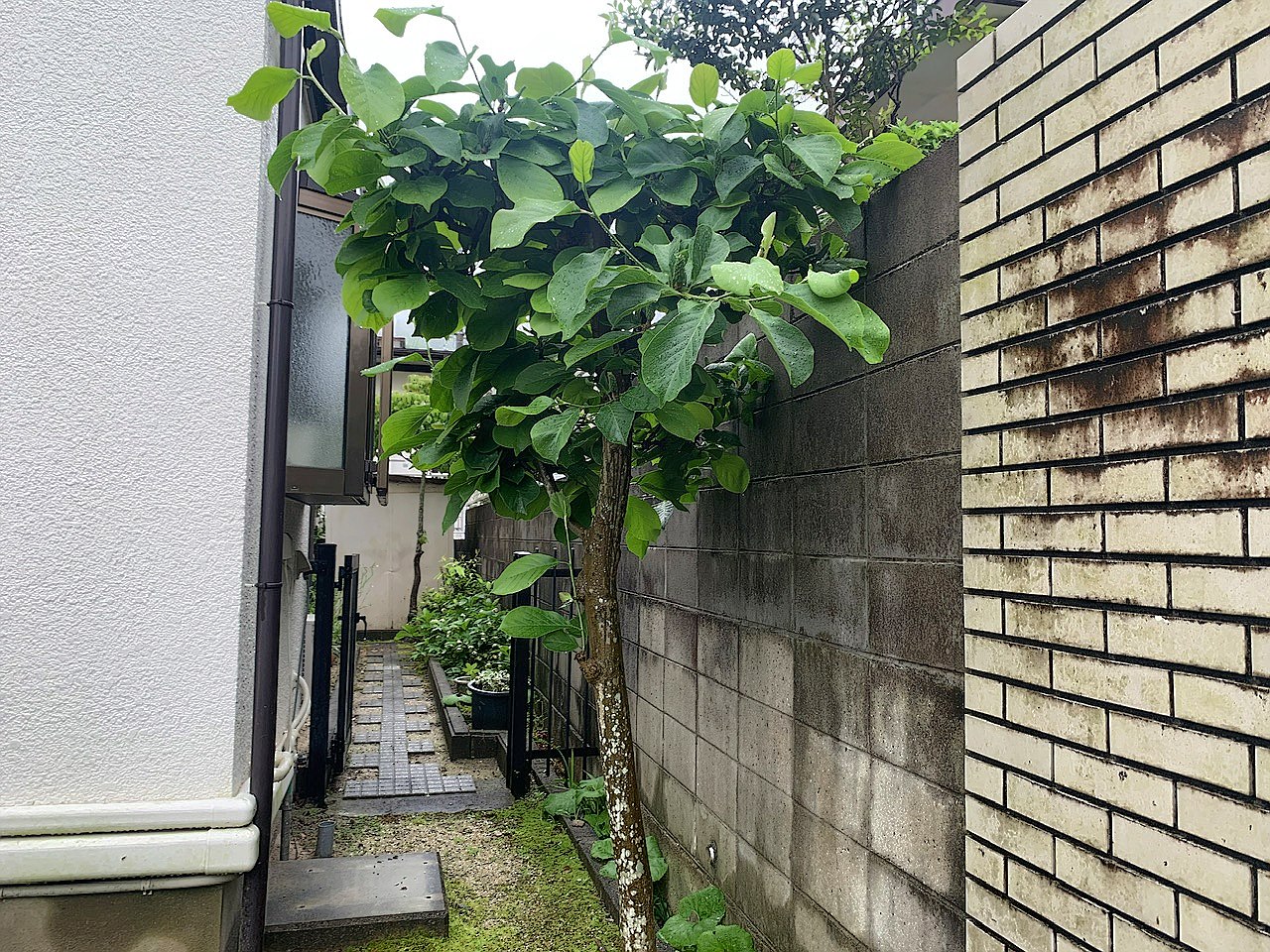 施工前2