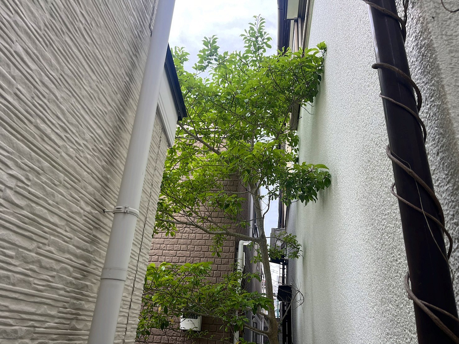 施工前