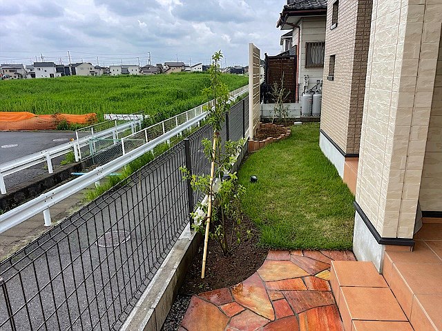 熊本県阿蘇市／庭木伐採
