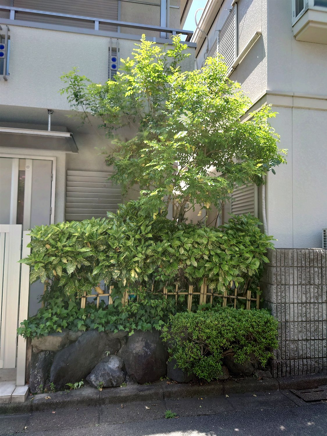 施工前