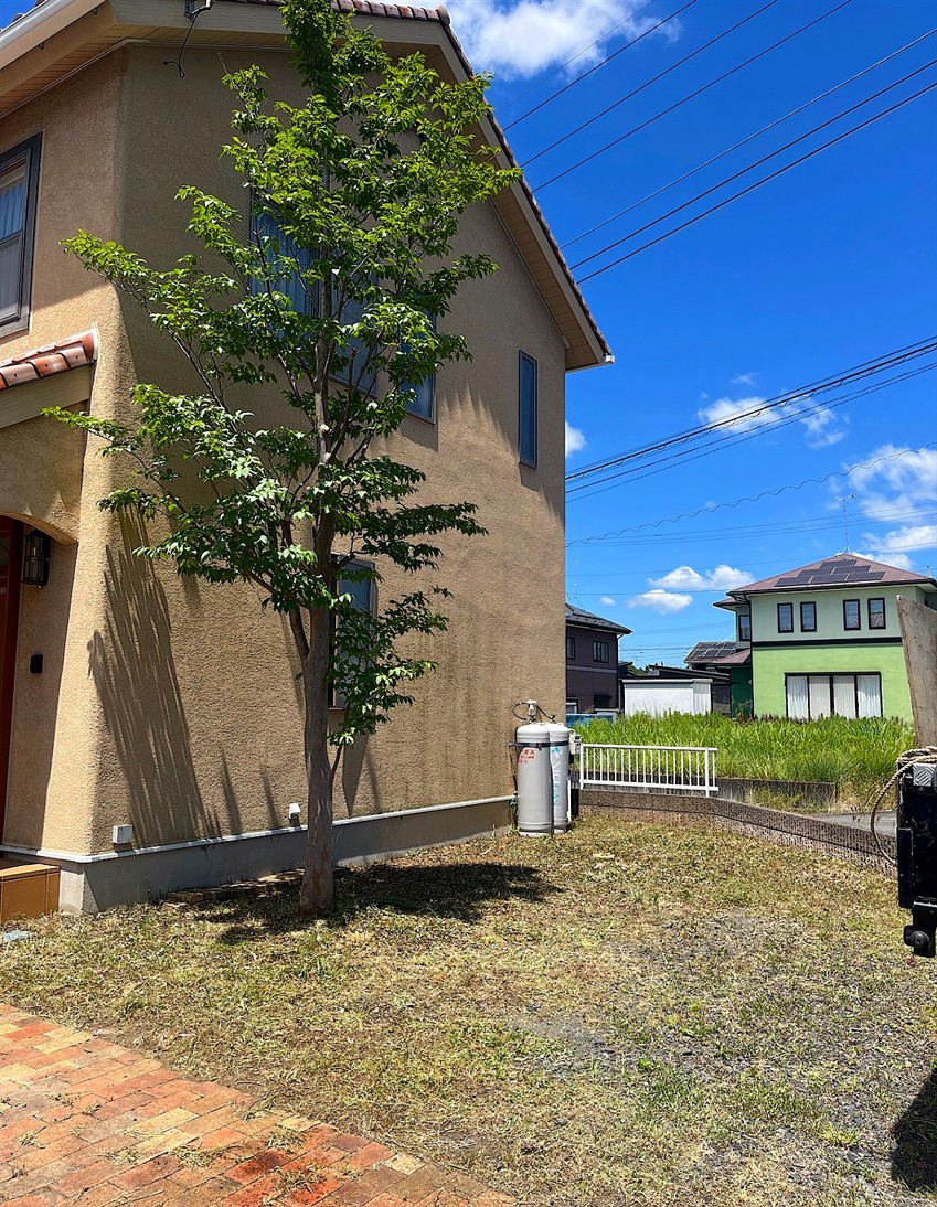 東京都府中市／庭木伐採
