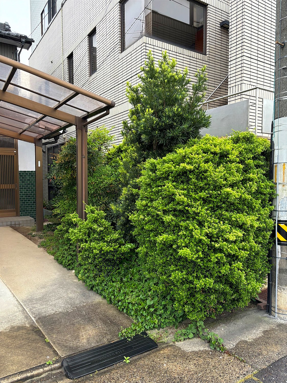 施工前2