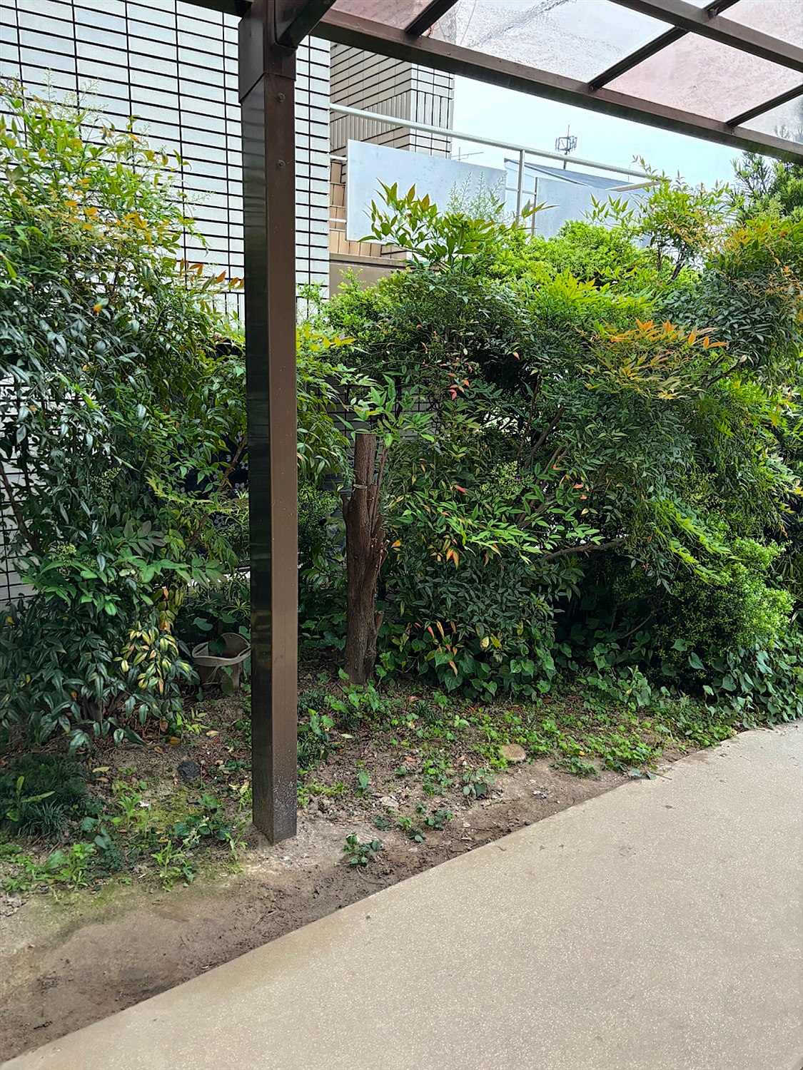 施工前