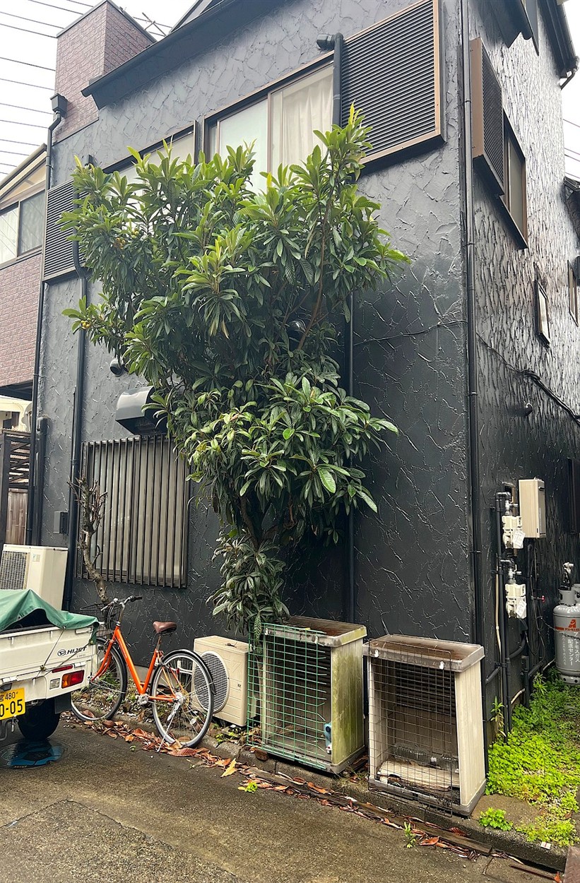 施工前2