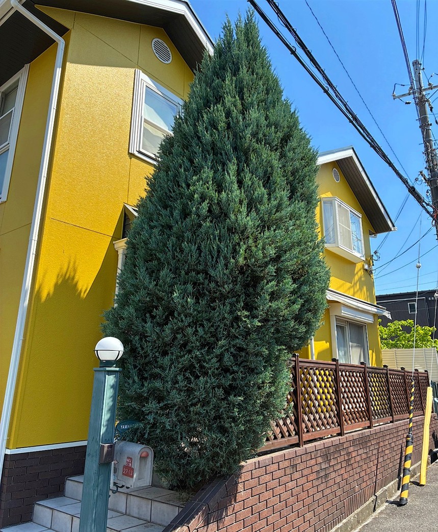 施工前