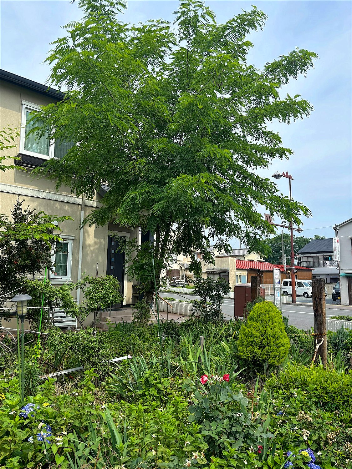 施工前2