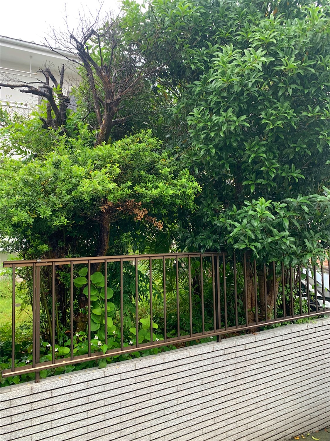 施工前