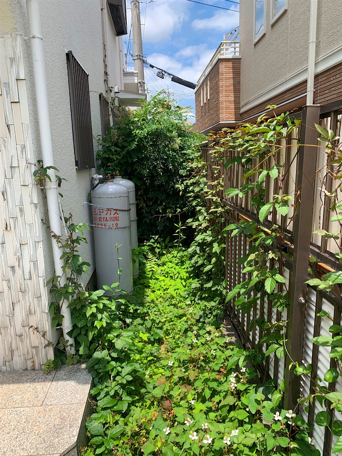 施工前