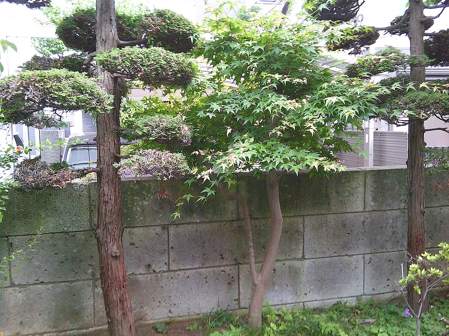 施工前