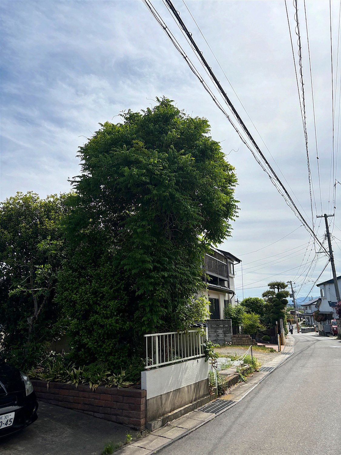 施工前