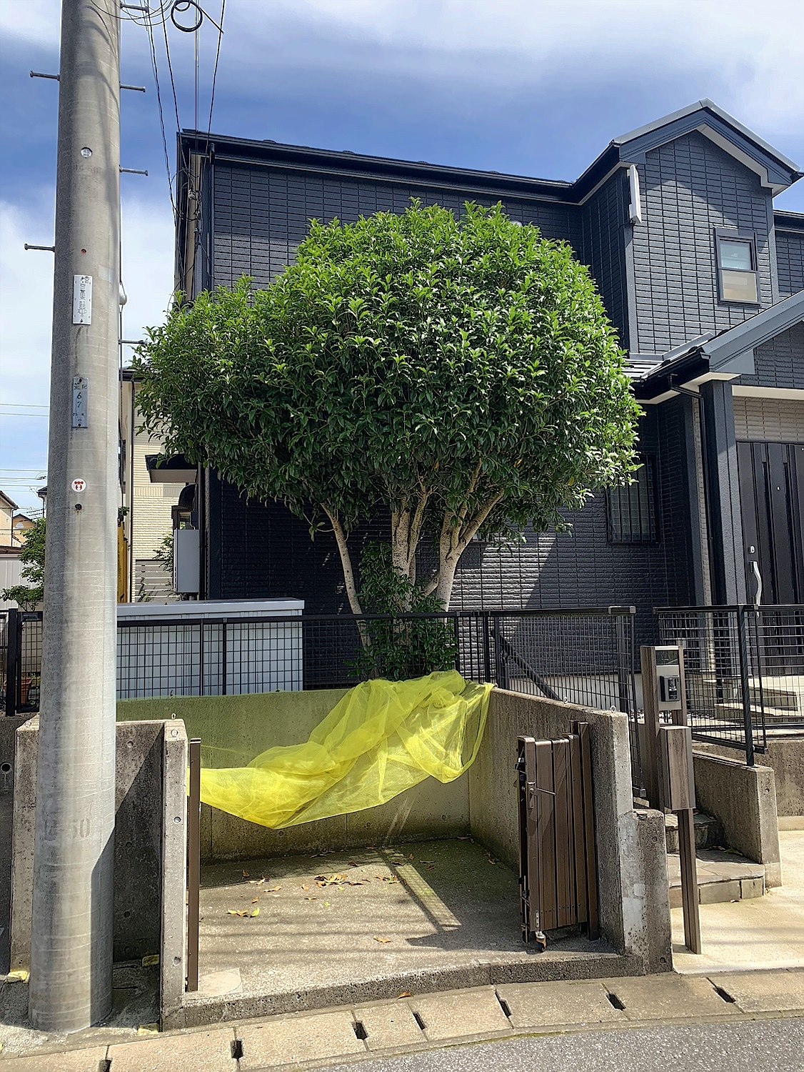 施工前2