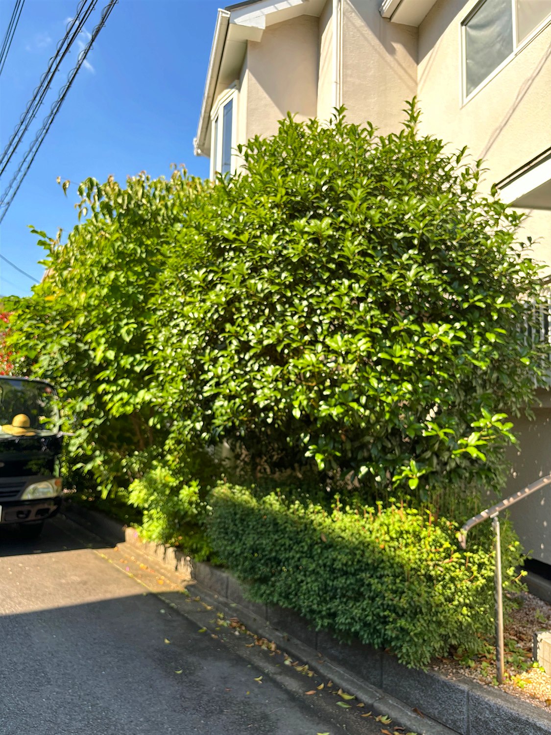 施工前2