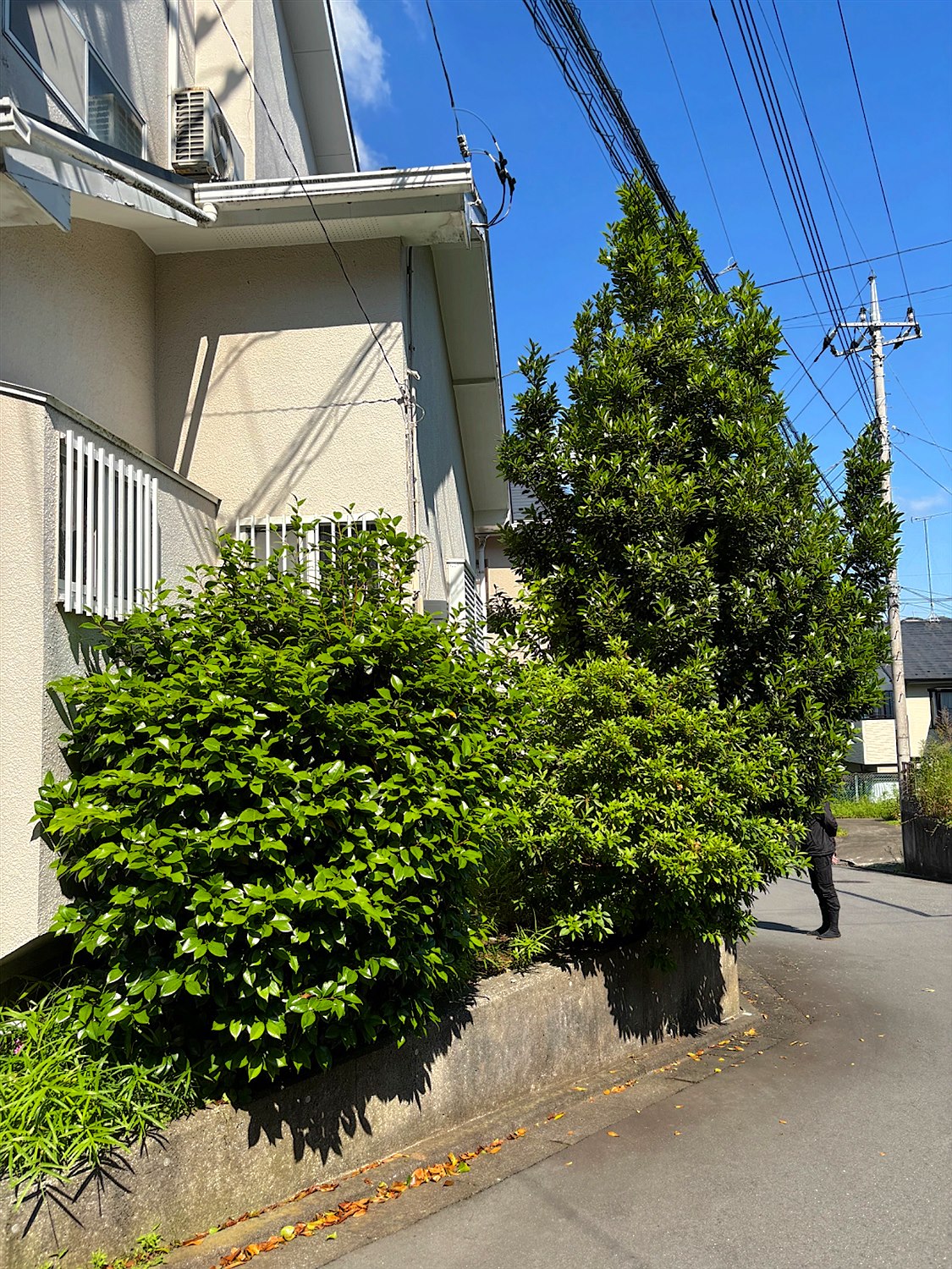 施工前