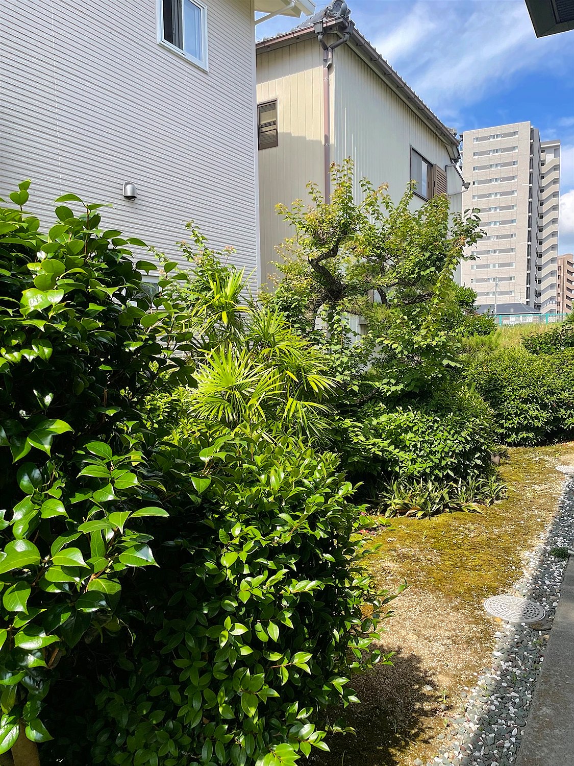 施工前2