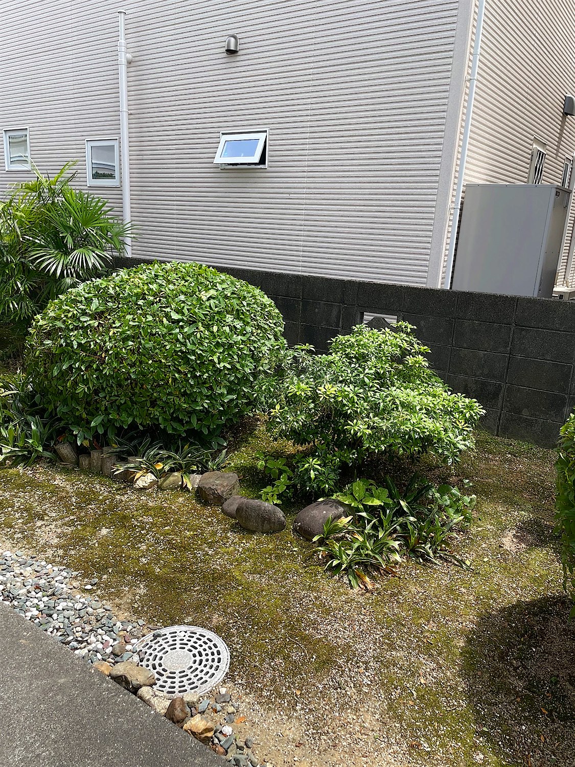 埼玉県本庄市／庭木伐採