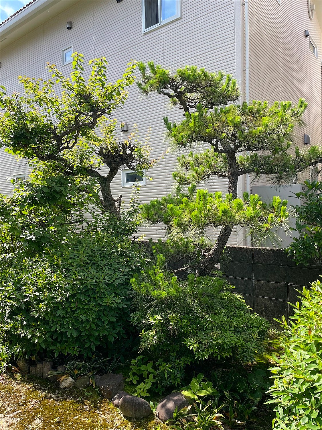施工前
