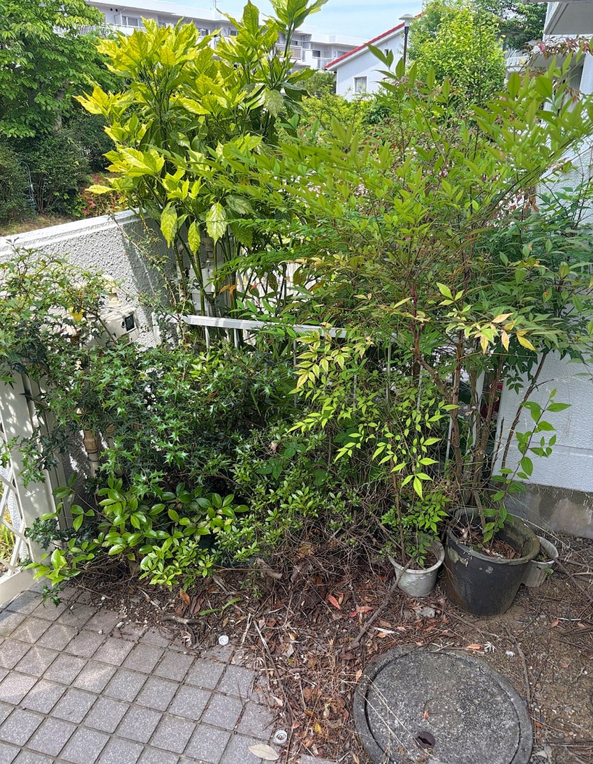 施工前