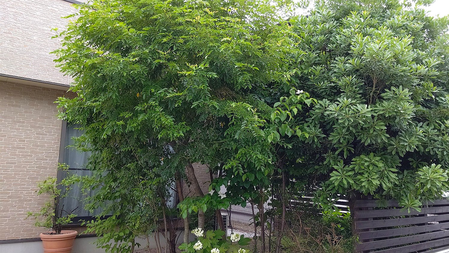 施工前