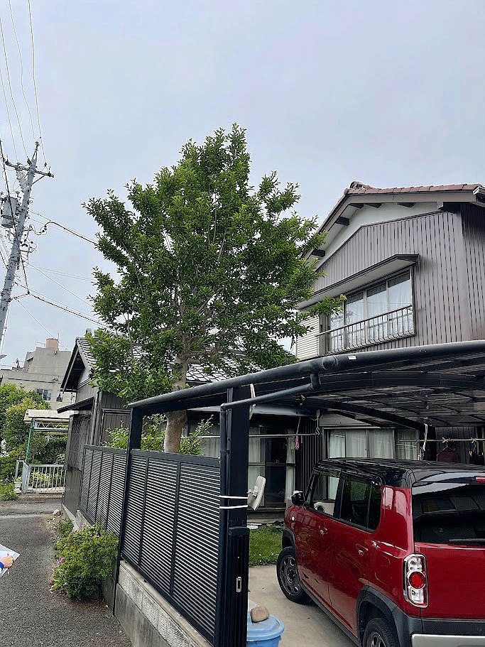 施工前2