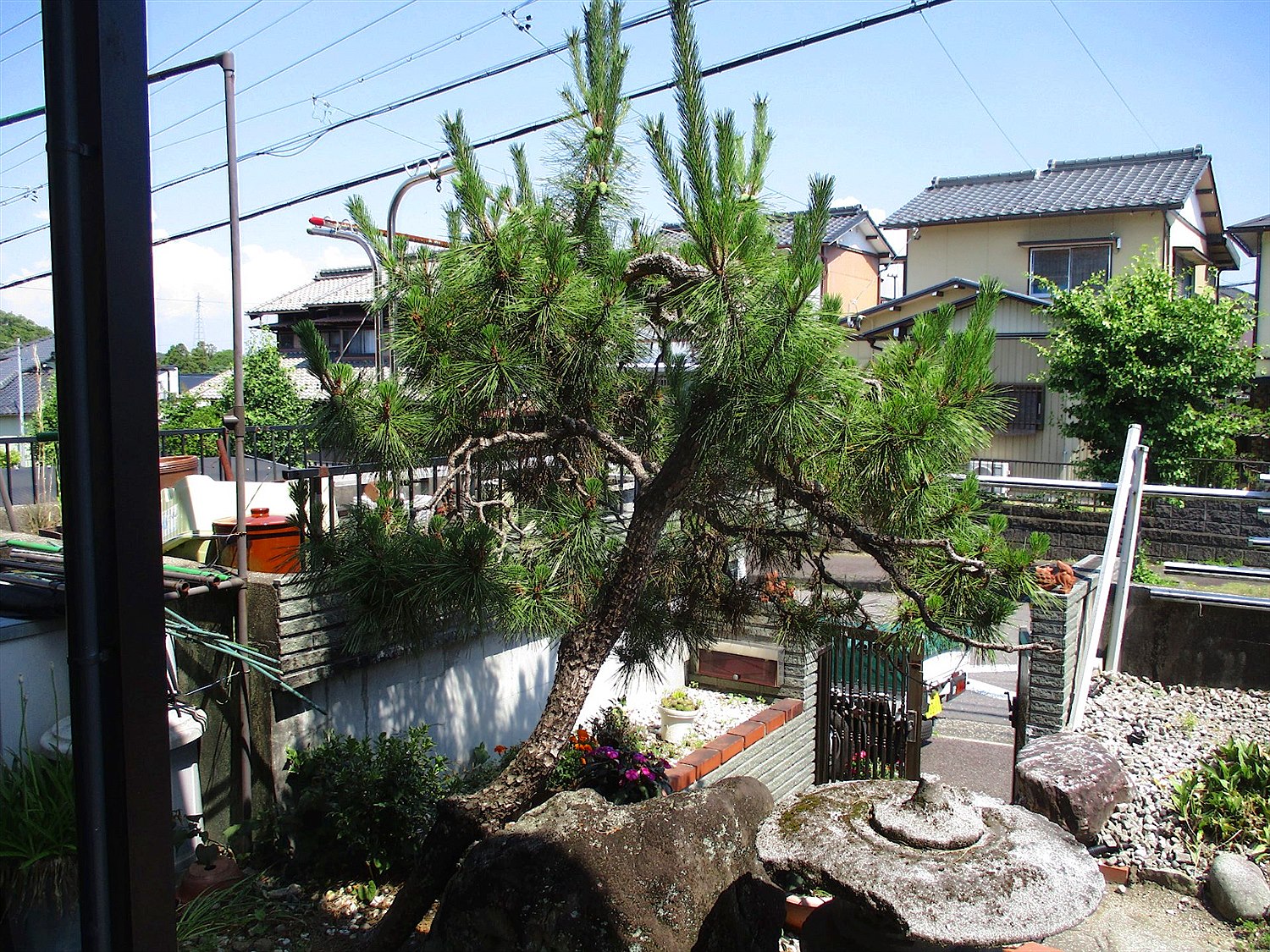 施工前2