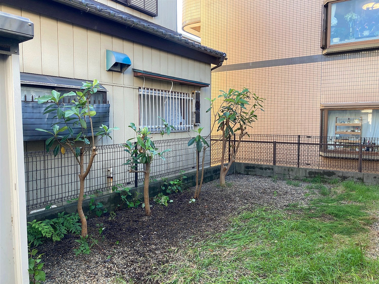 千葉県柏市／庭木伐採