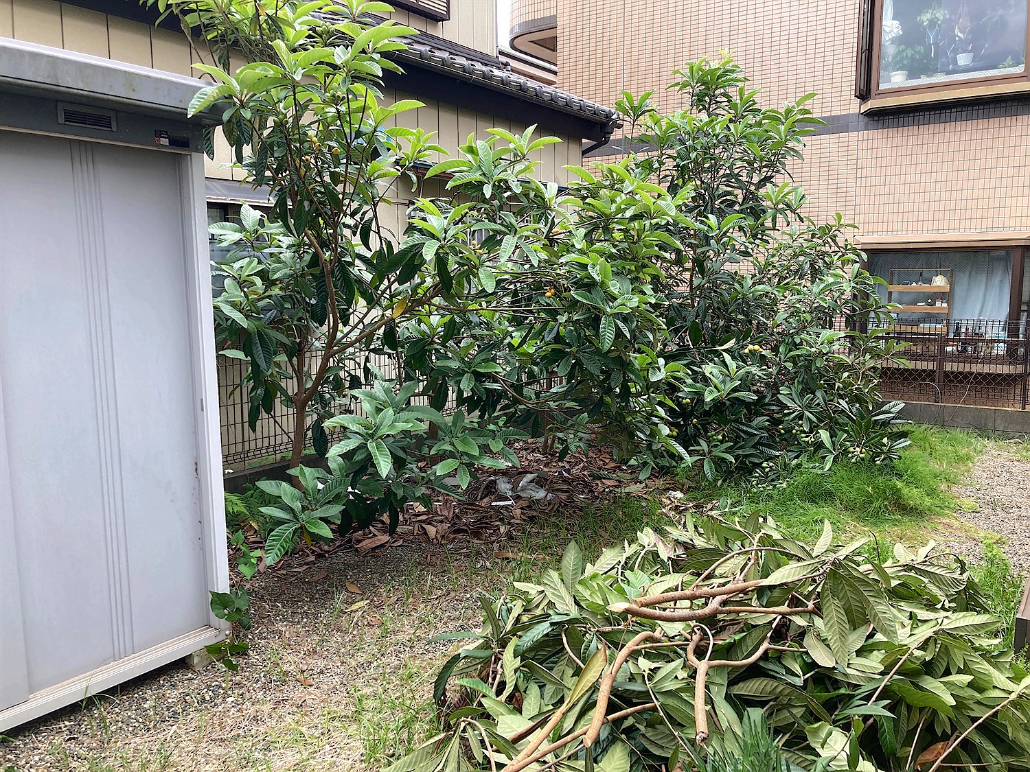 施工前
