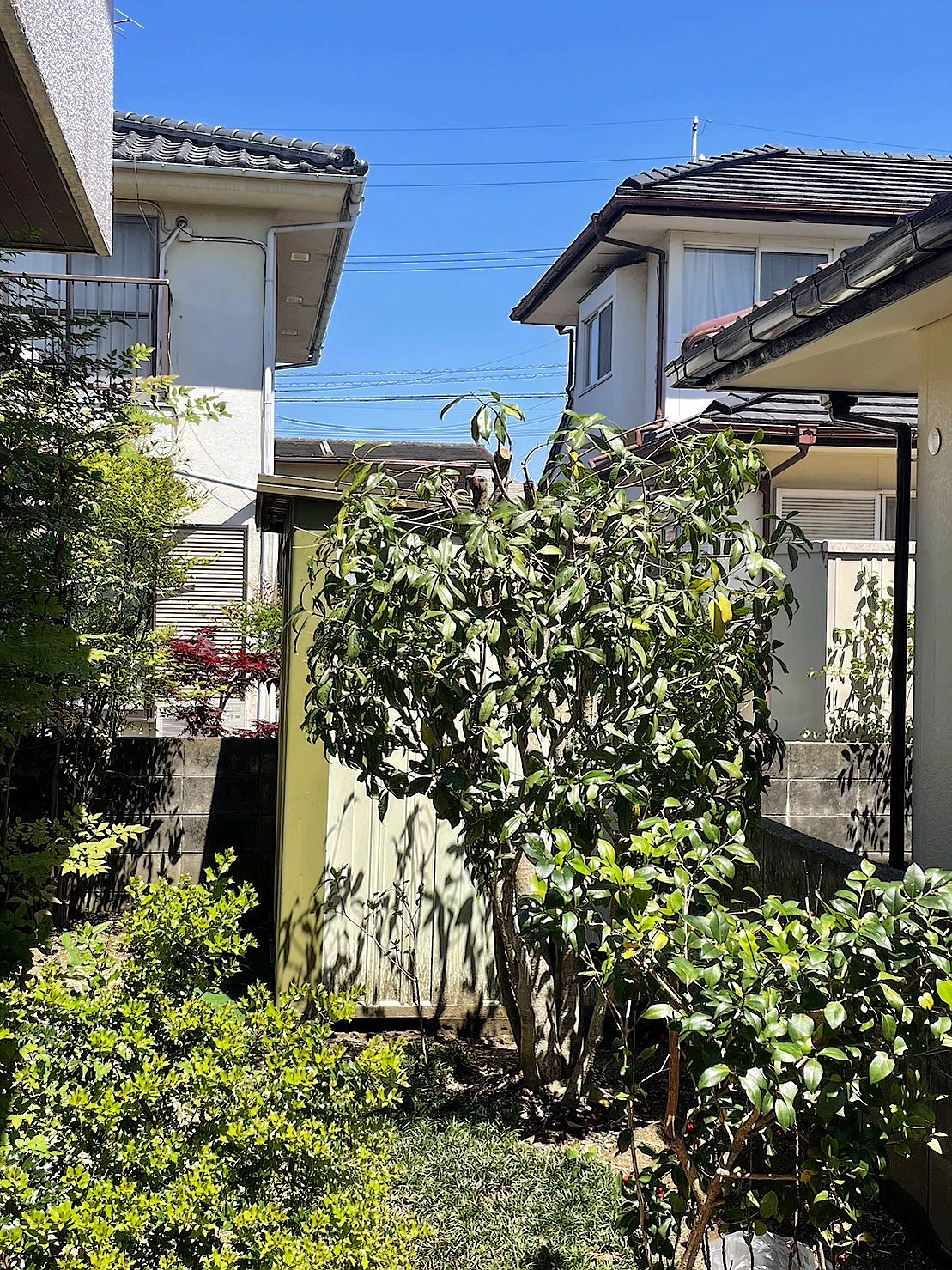 施工後2