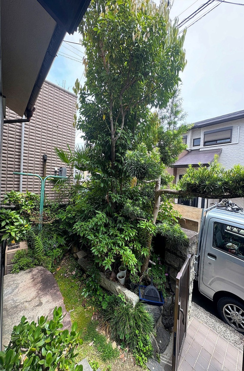 施工前
