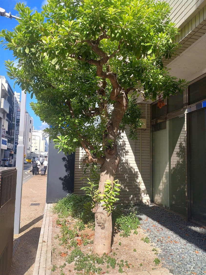 施工前2