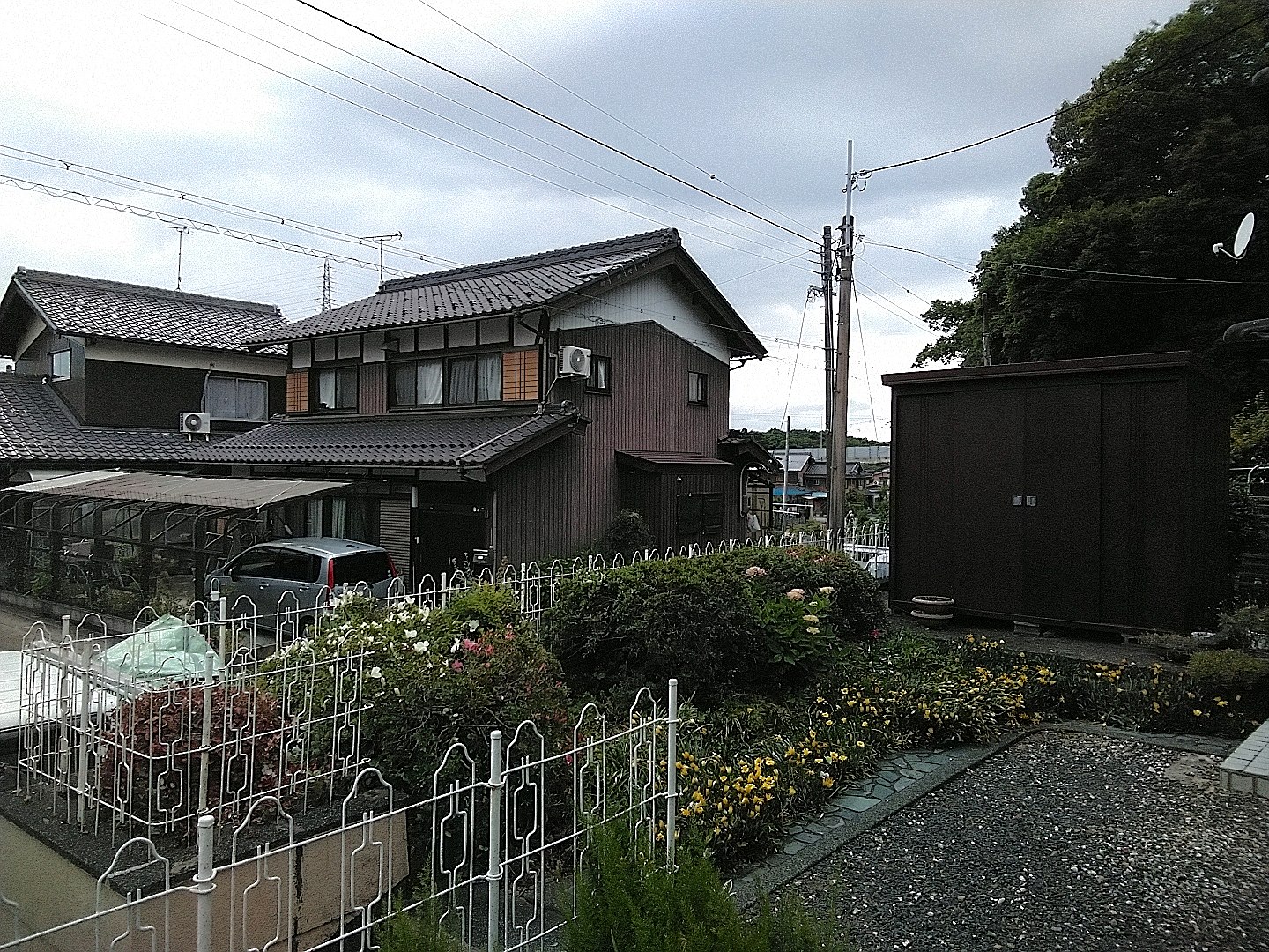 群馬県前橋市／庭木伐採