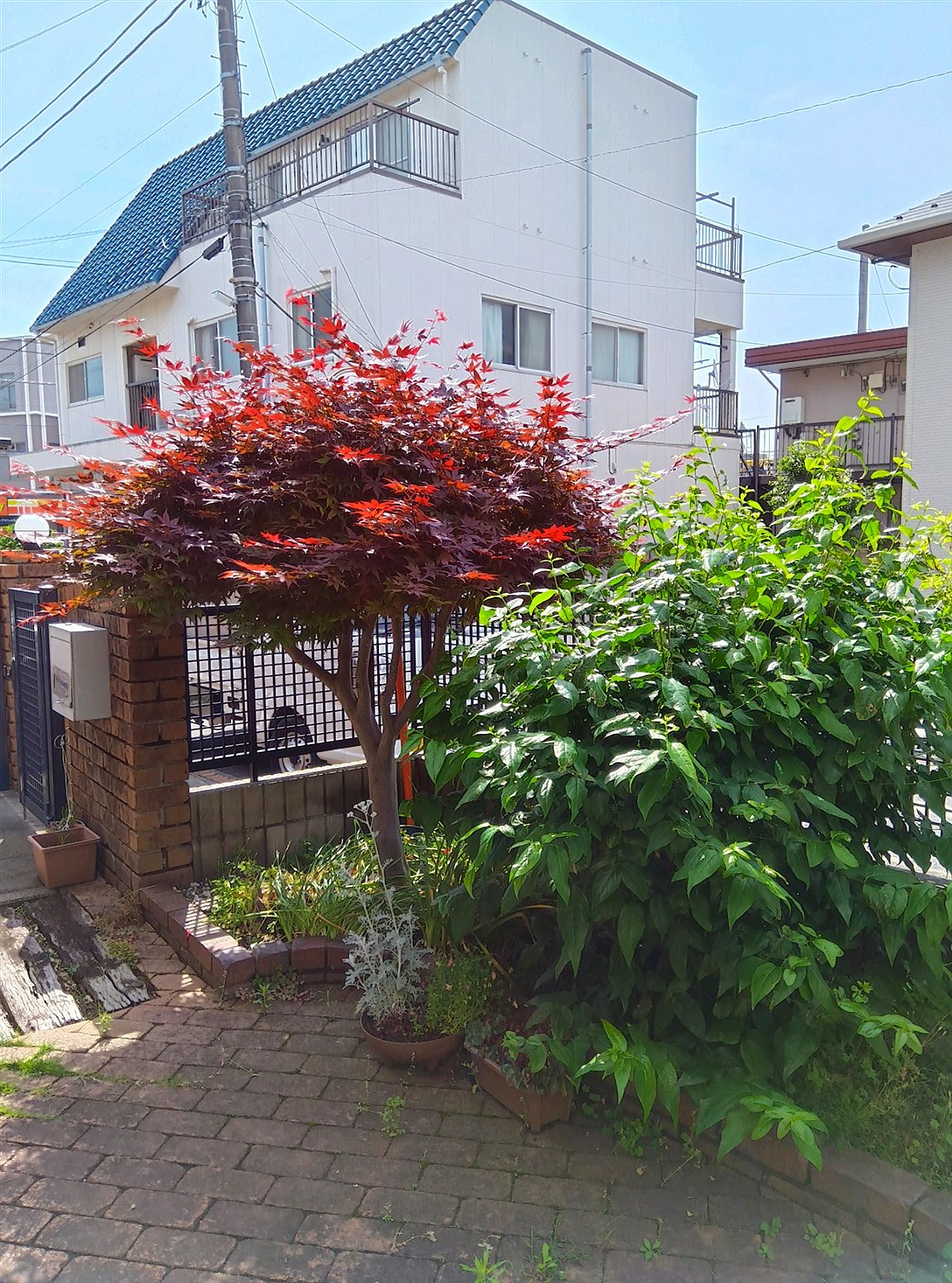 施工前2