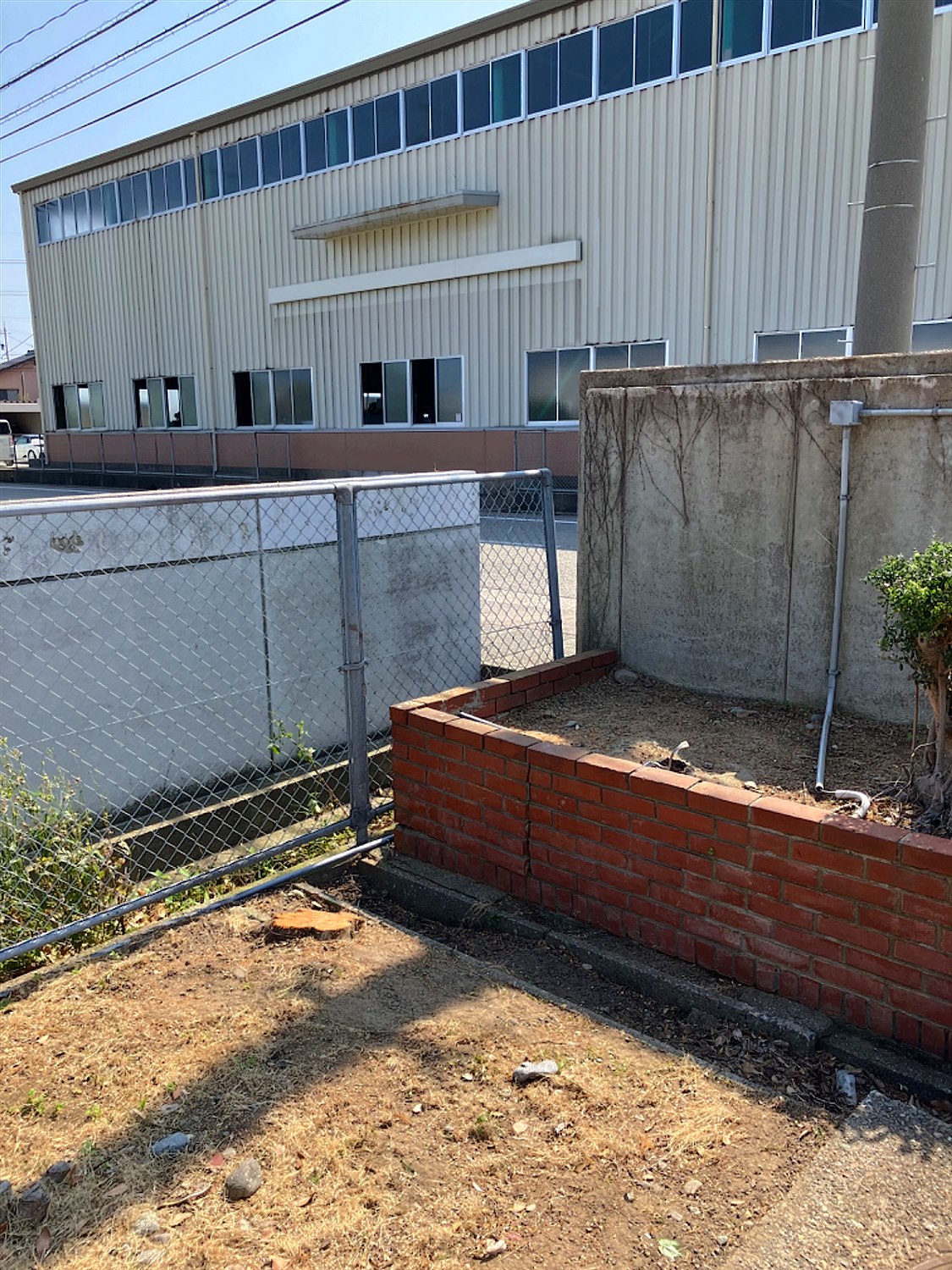 千葉県印西市／庭木伐採