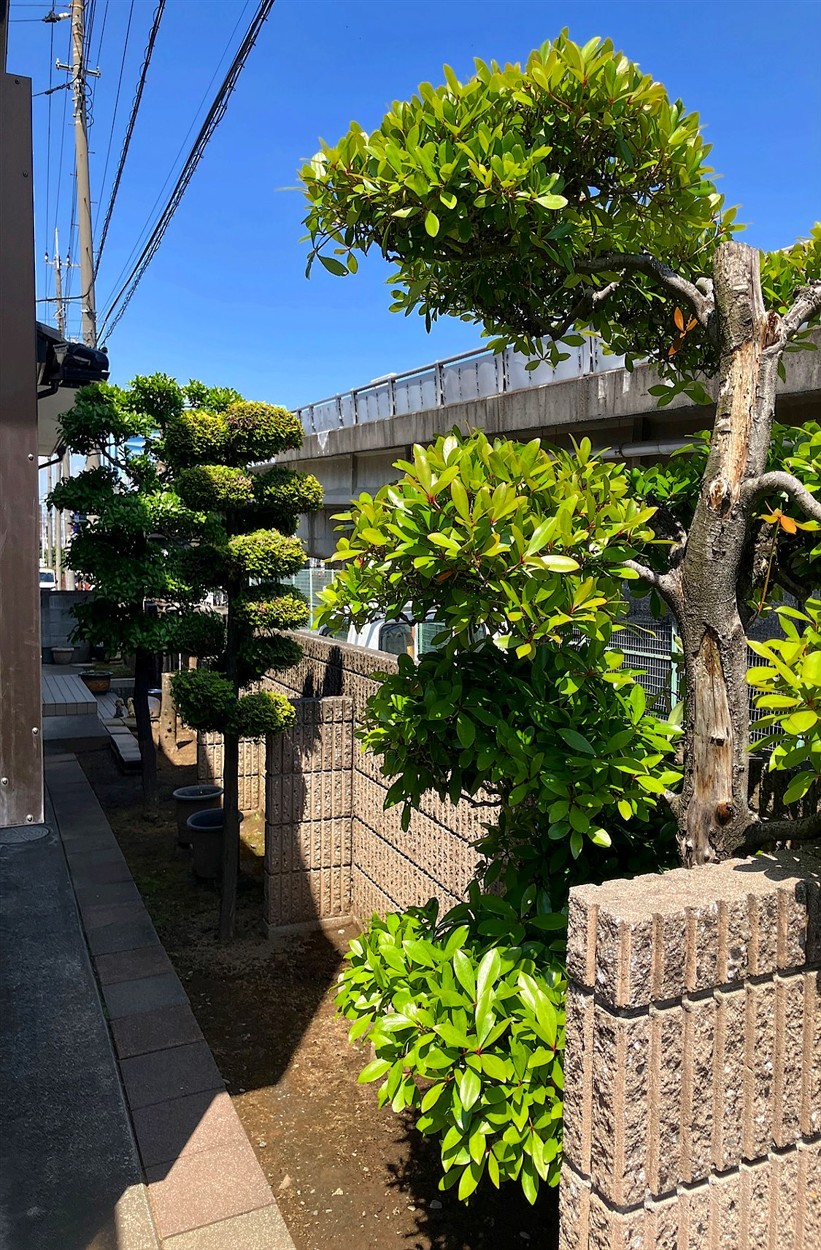 施工前2