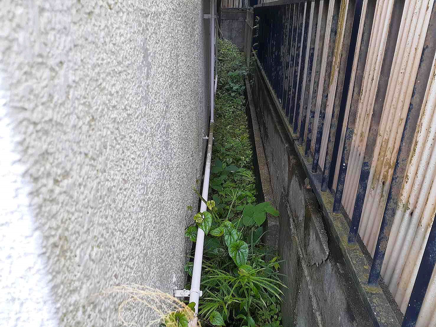 施工前2