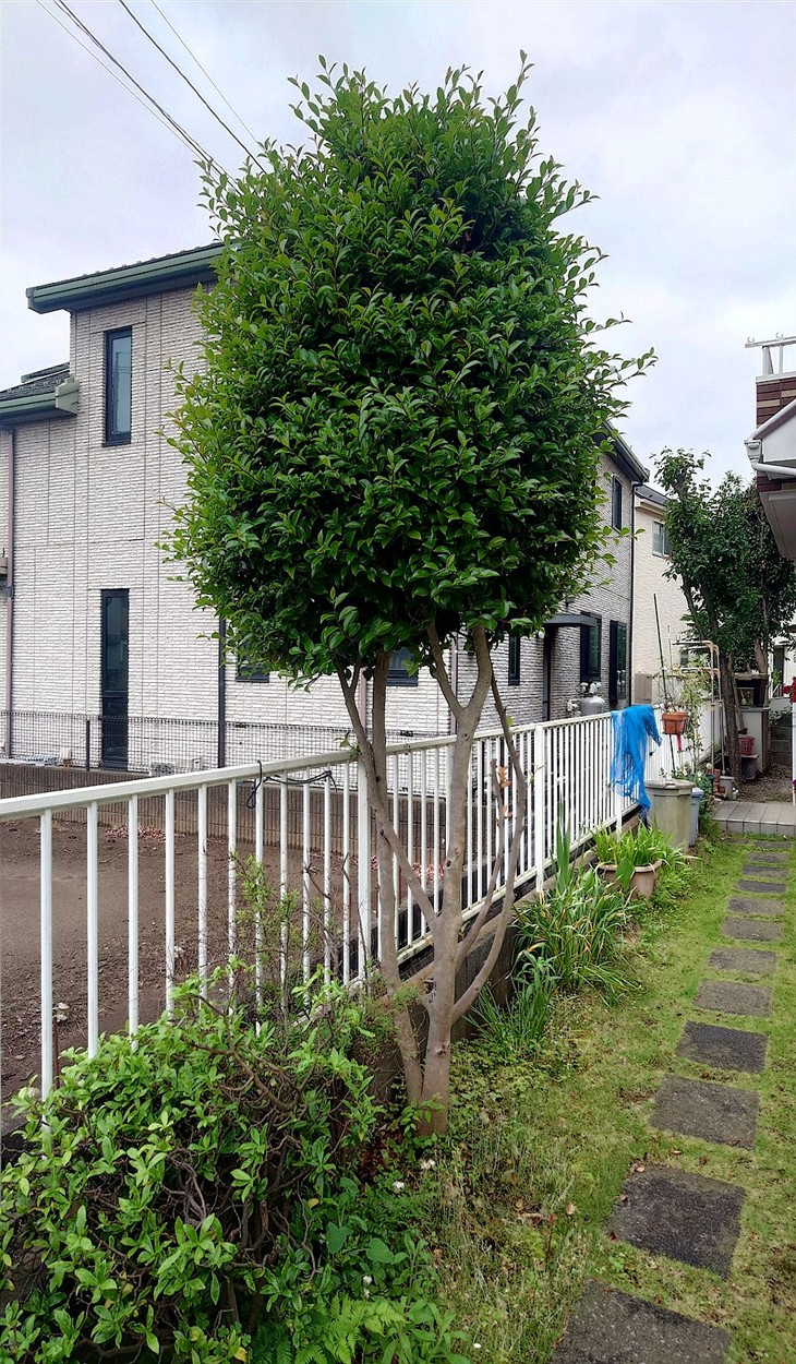 施工前2