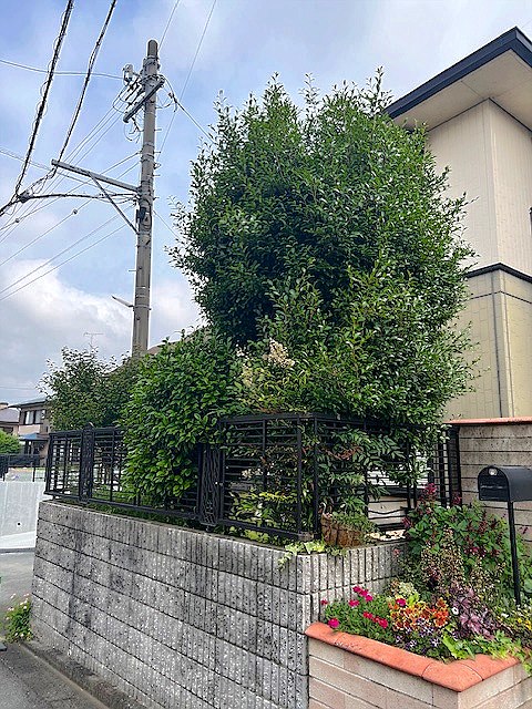 施工前2