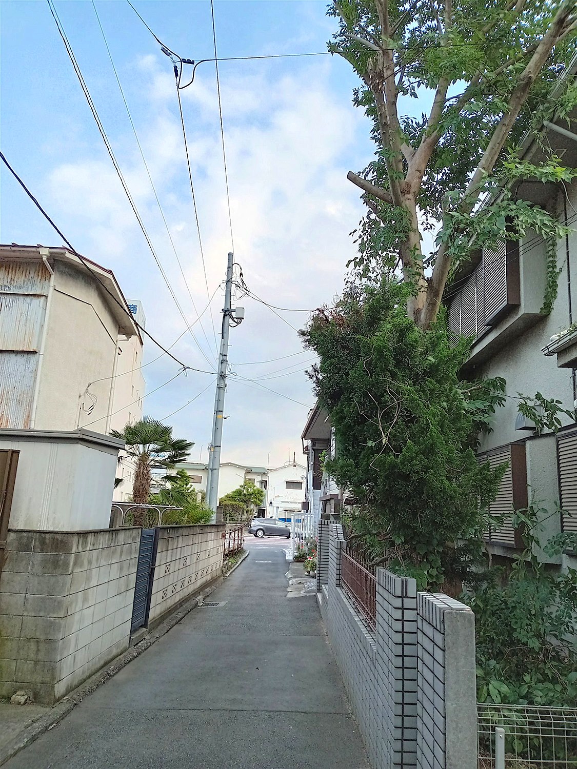 京都府亀岡市／庭木伐採
