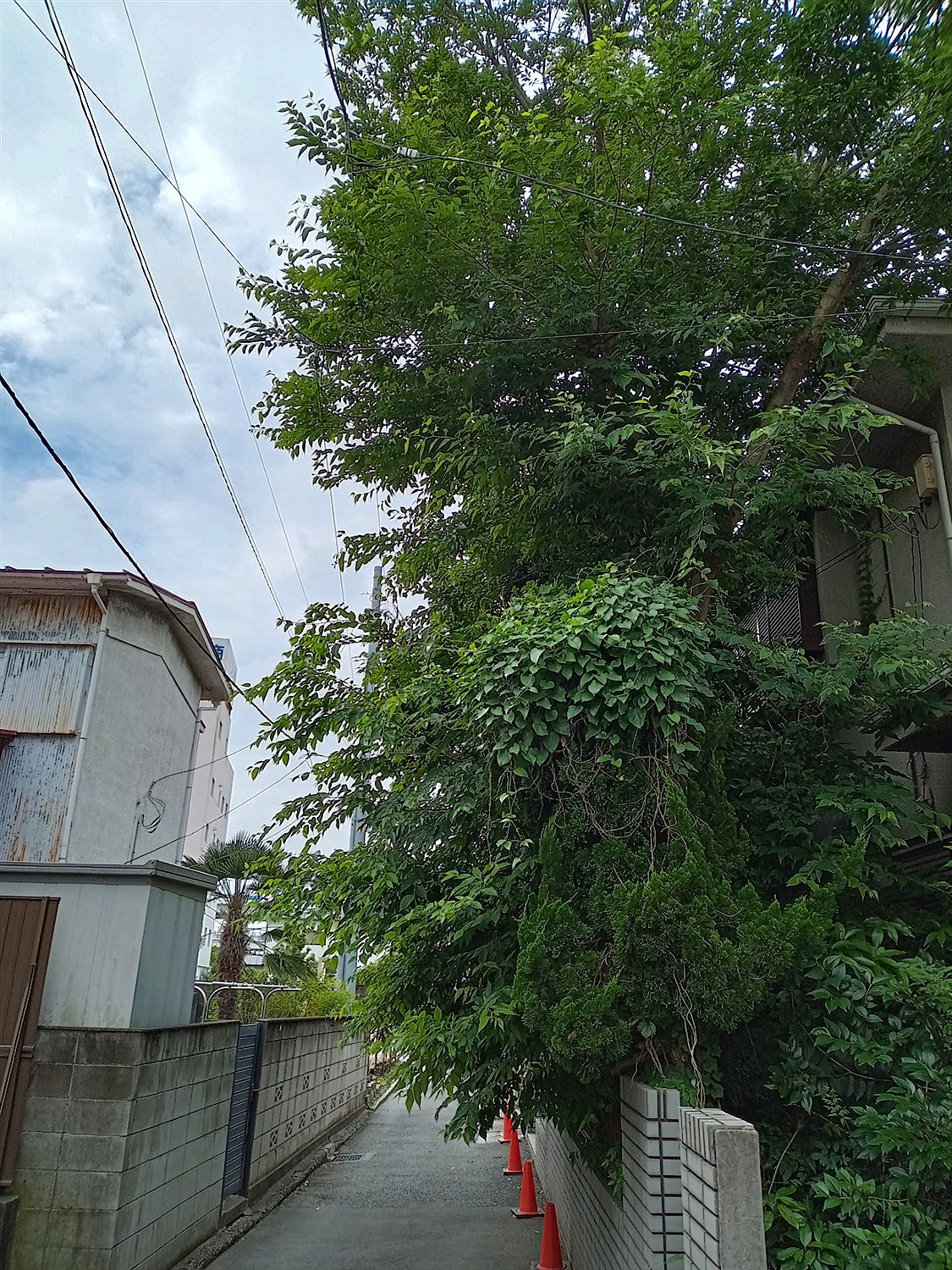 施工前