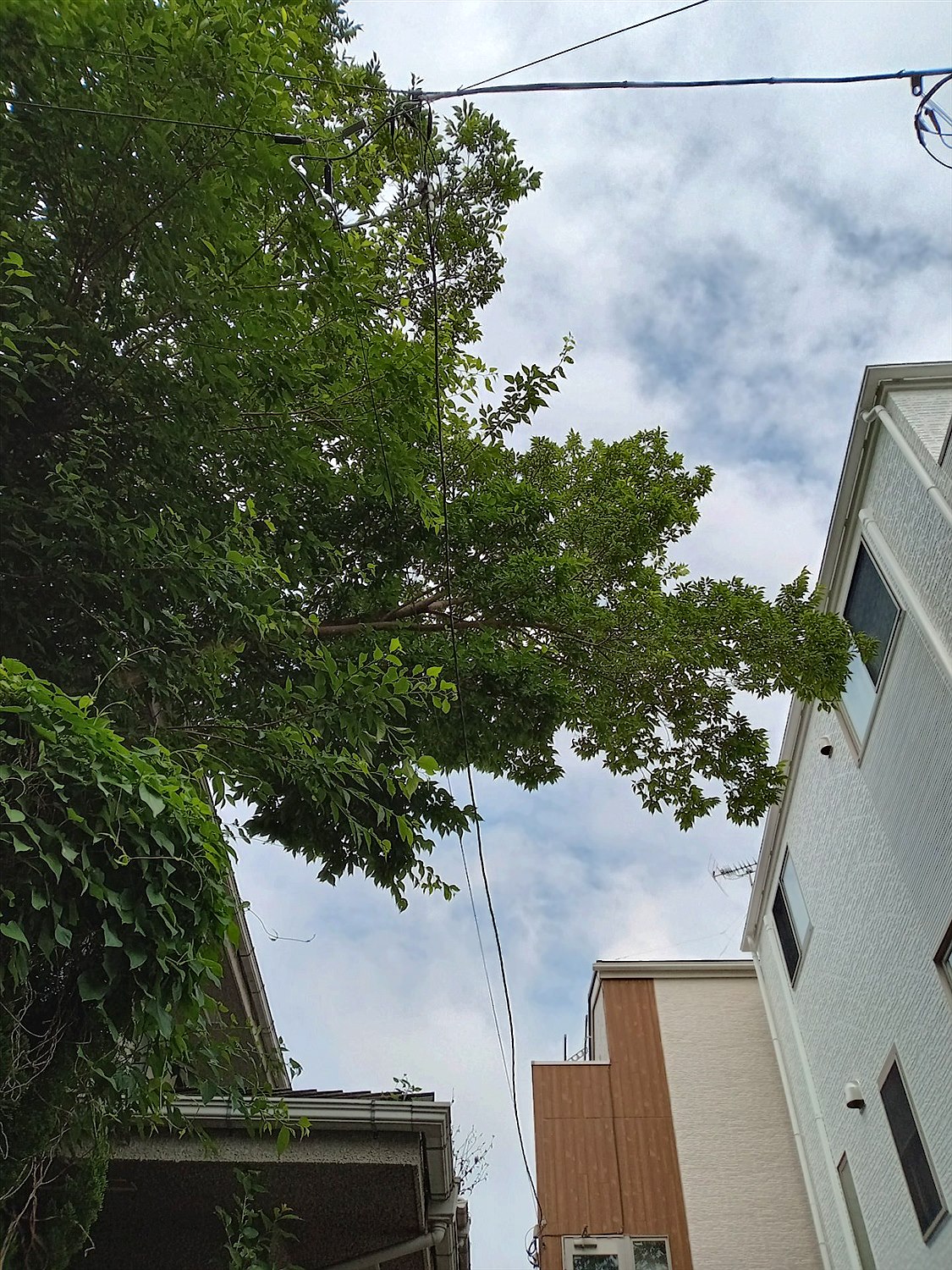 施工前2