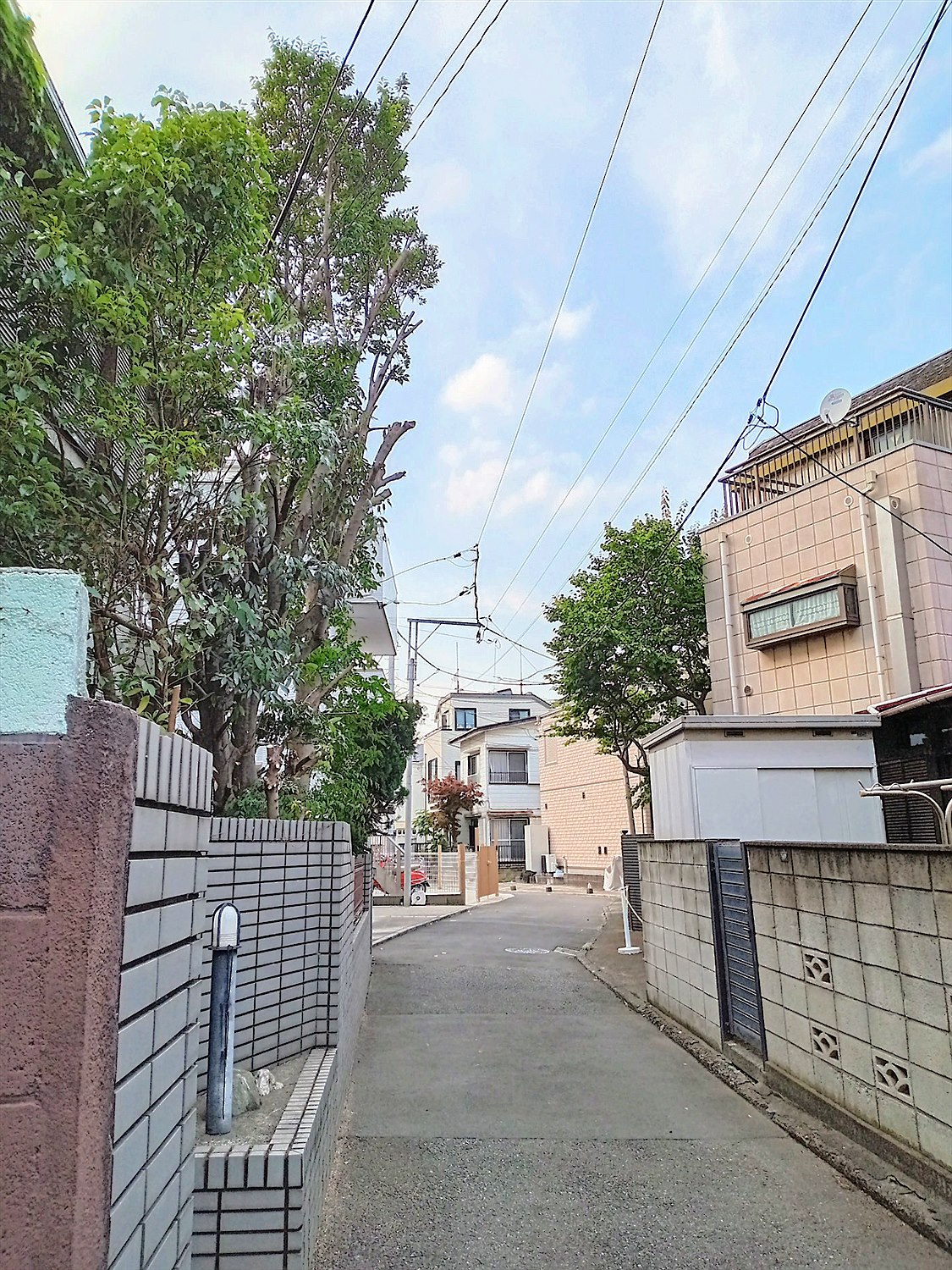東京都羽村市／庭木伐採